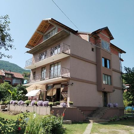 Guest House Dimitrije Niska Banja Zewnętrze zdjęcie