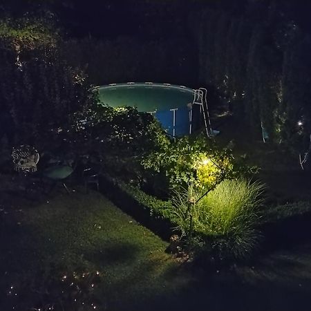Guest House Dimitrije Niska Banja Zewnętrze zdjęcie