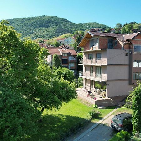 Guest House Dimitrije Niska Banja Zewnętrze zdjęcie