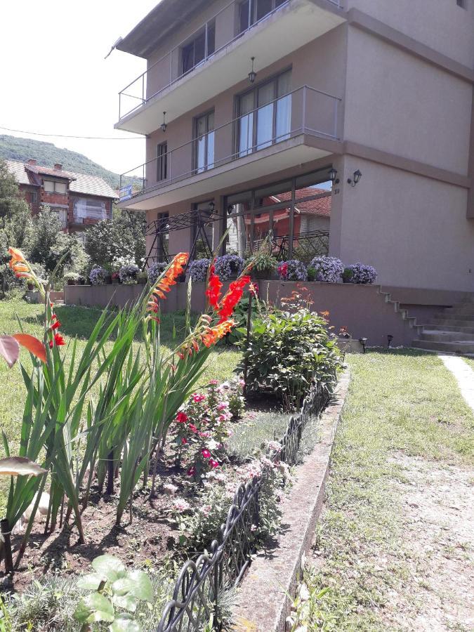Guest House Dimitrije Niska Banja Zewnętrze zdjęcie
