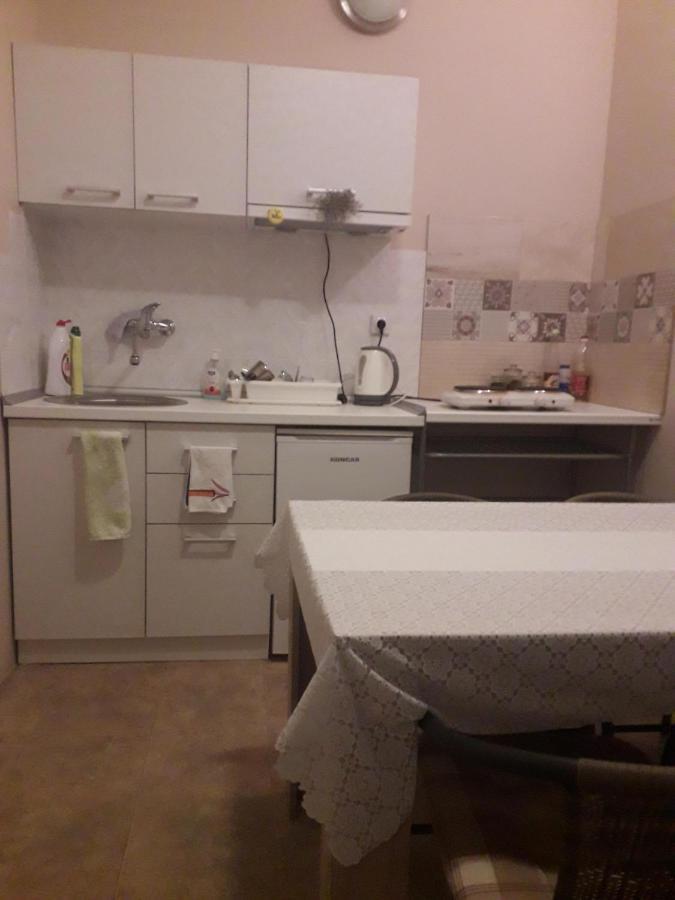 Guest House Dimitrije Niska Banja Zewnętrze zdjęcie