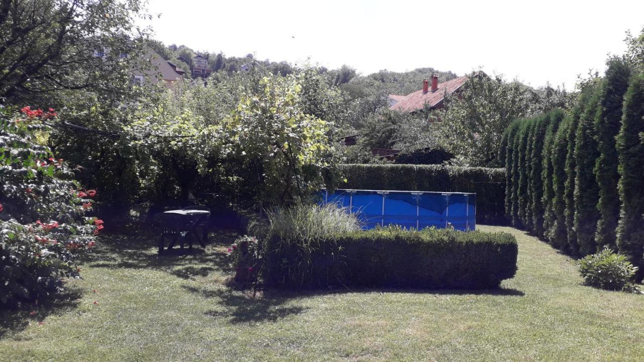 Guest House Dimitrije Niska Banja Zewnętrze zdjęcie