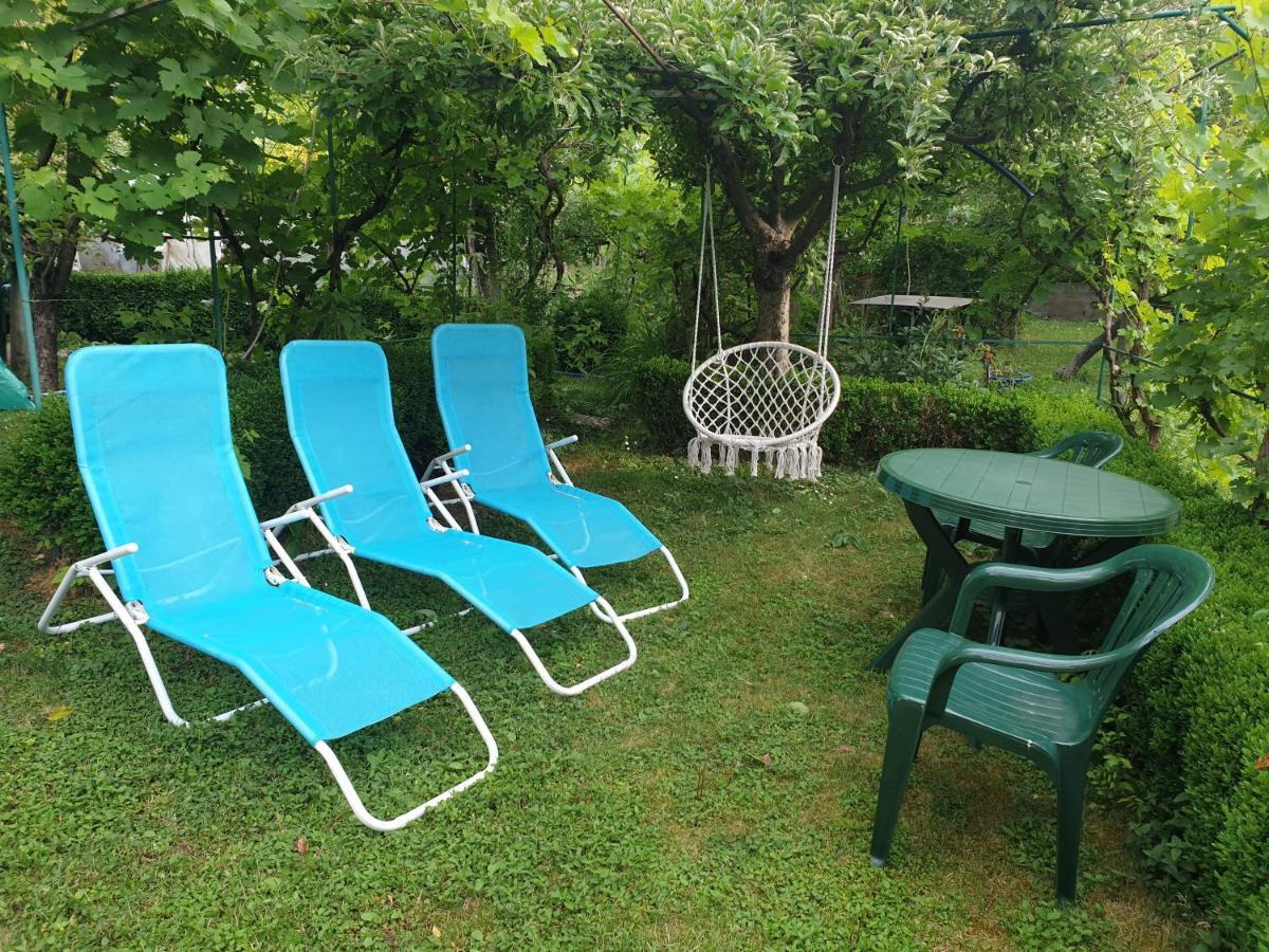 Guest House Dimitrije Niska Banja Zewnętrze zdjęcie