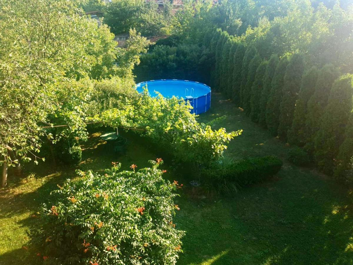 Guest House Dimitrije Niska Banja Zewnętrze zdjęcie