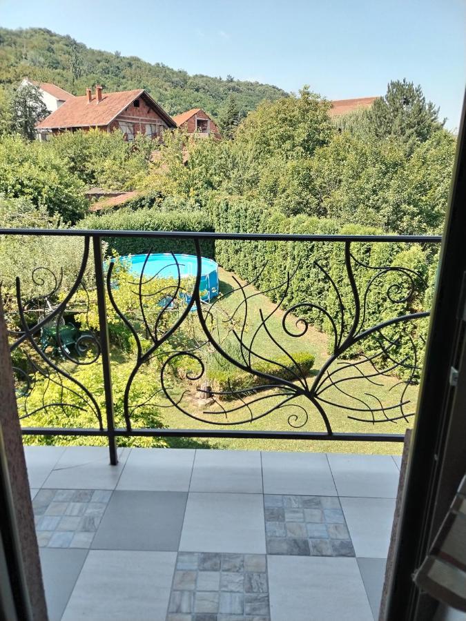 Guest House Dimitrije Niska Banja Zewnętrze zdjęcie