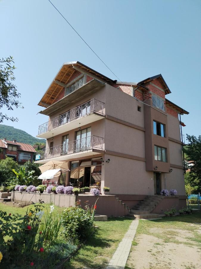 Guest House Dimitrije Niska Banja Zewnętrze zdjęcie