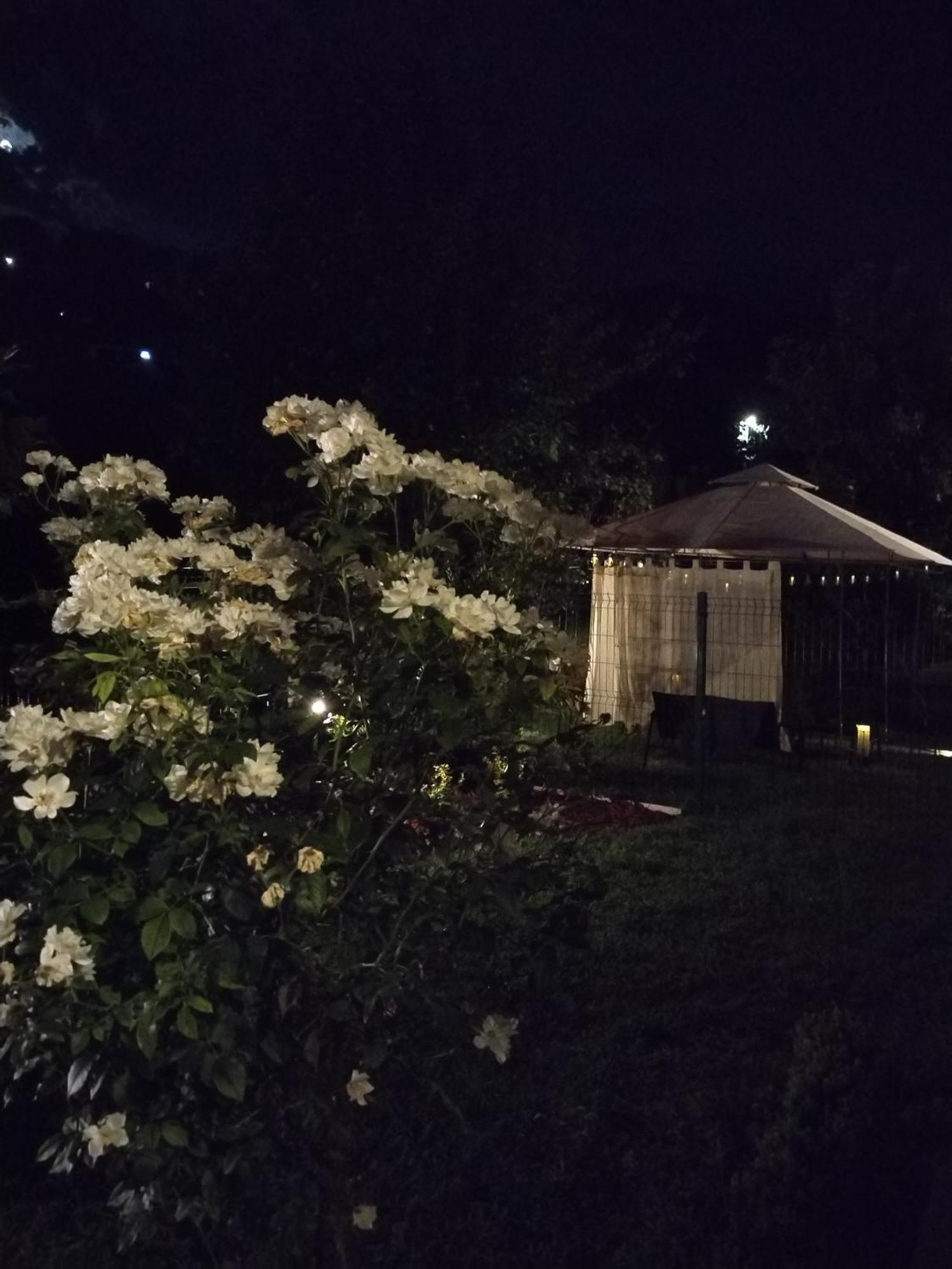 Guest House Dimitrije Niska Banja Zewnętrze zdjęcie