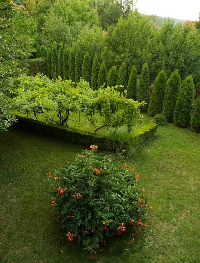 Guest House Dimitrije Niska Banja Zewnętrze zdjęcie