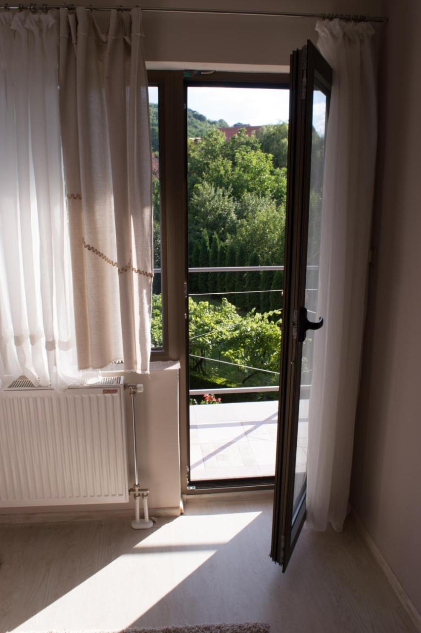 Guest House Dimitrije Niska Banja Zewnętrze zdjęcie